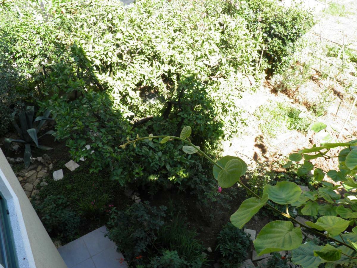 Apartman Mia Biograd Biograd Na Moru Exterior photo